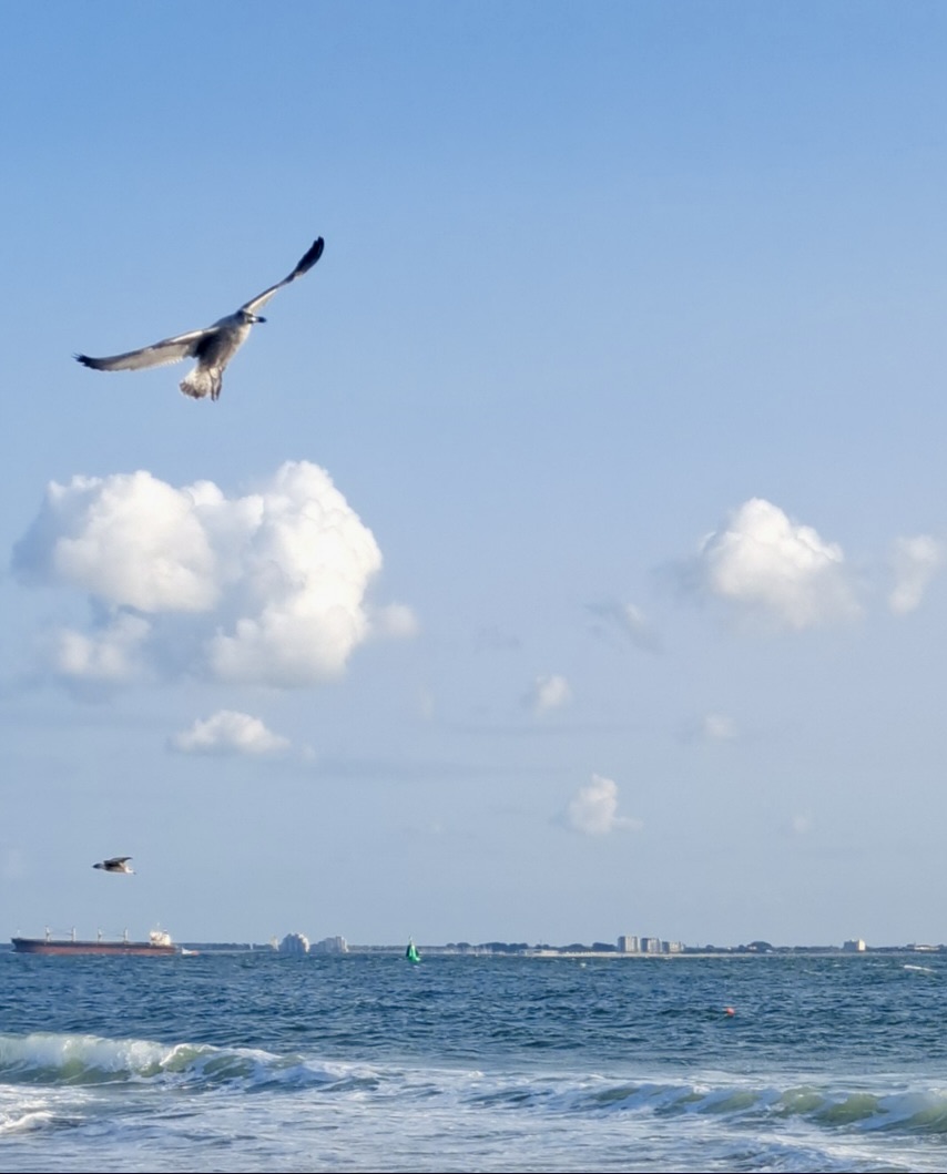 Tasje Bretagne - Afbeelding 4