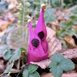 Ouder en Baby Kabouter Fuchsia