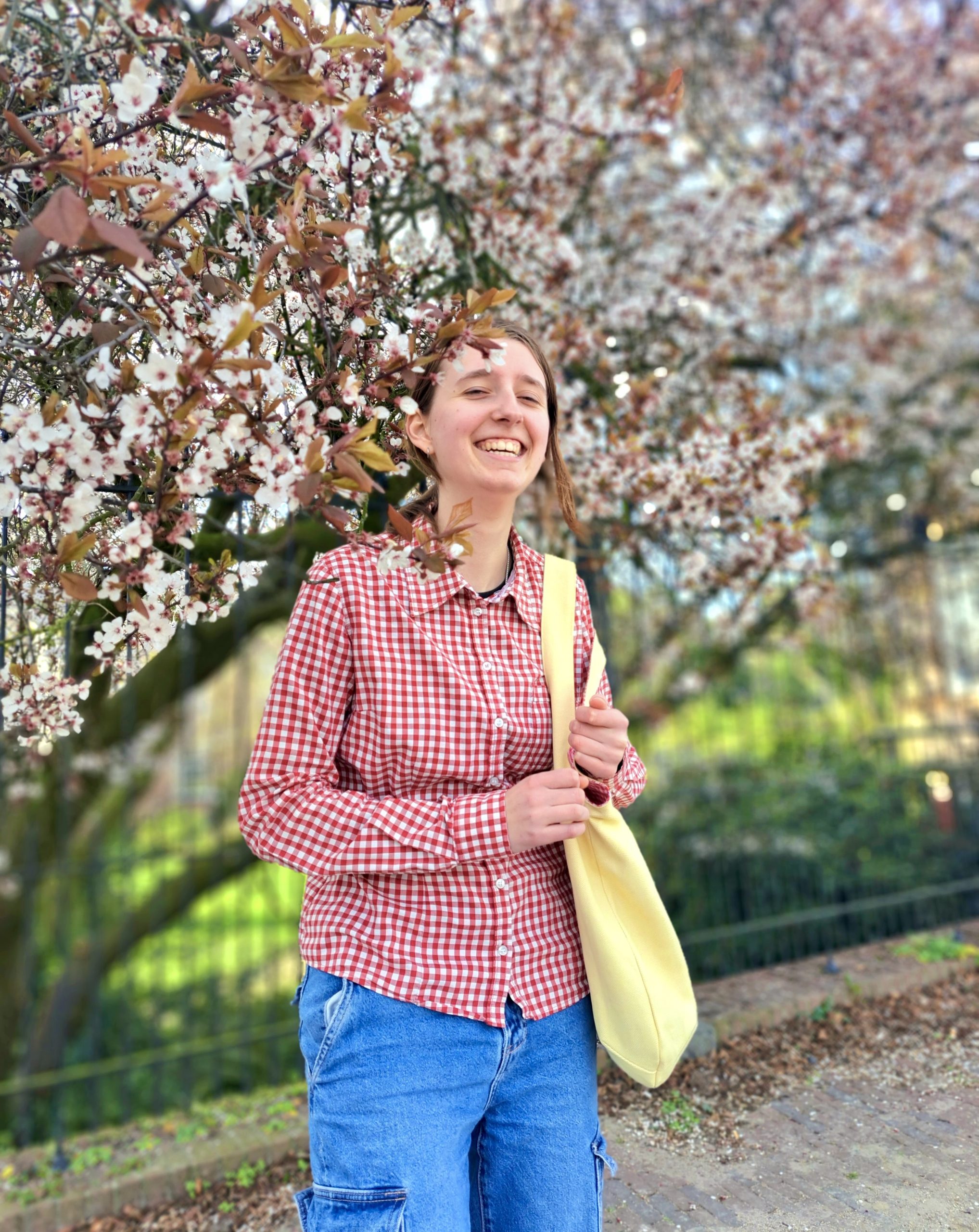 Pique - Nique Geblokt en Geel - Afbeelding 3